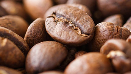 A kávé jövője – meddig élvezhetjük még a jó feketét?