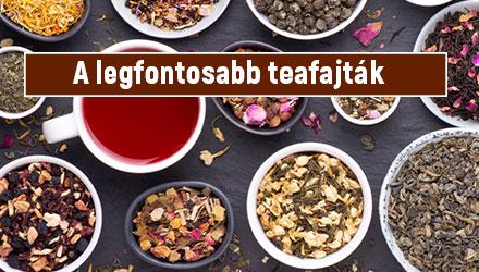 Fekete-fehér, zöld, vörös: melyek a legfontosabb teafajták?