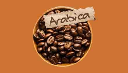 Arabica, robusta, kávéblendek – 1. rész: az arabica