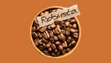 Arabica, robusta, kávéblendek – 2. rész: a robusta